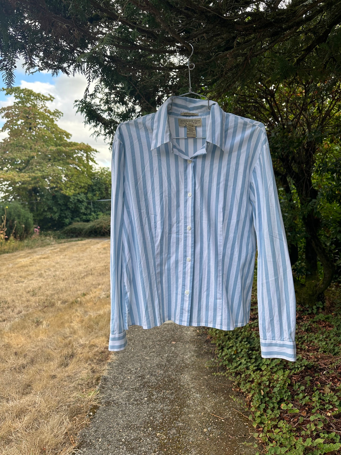 90s Blue Stripe Shirt - Jones New York Country