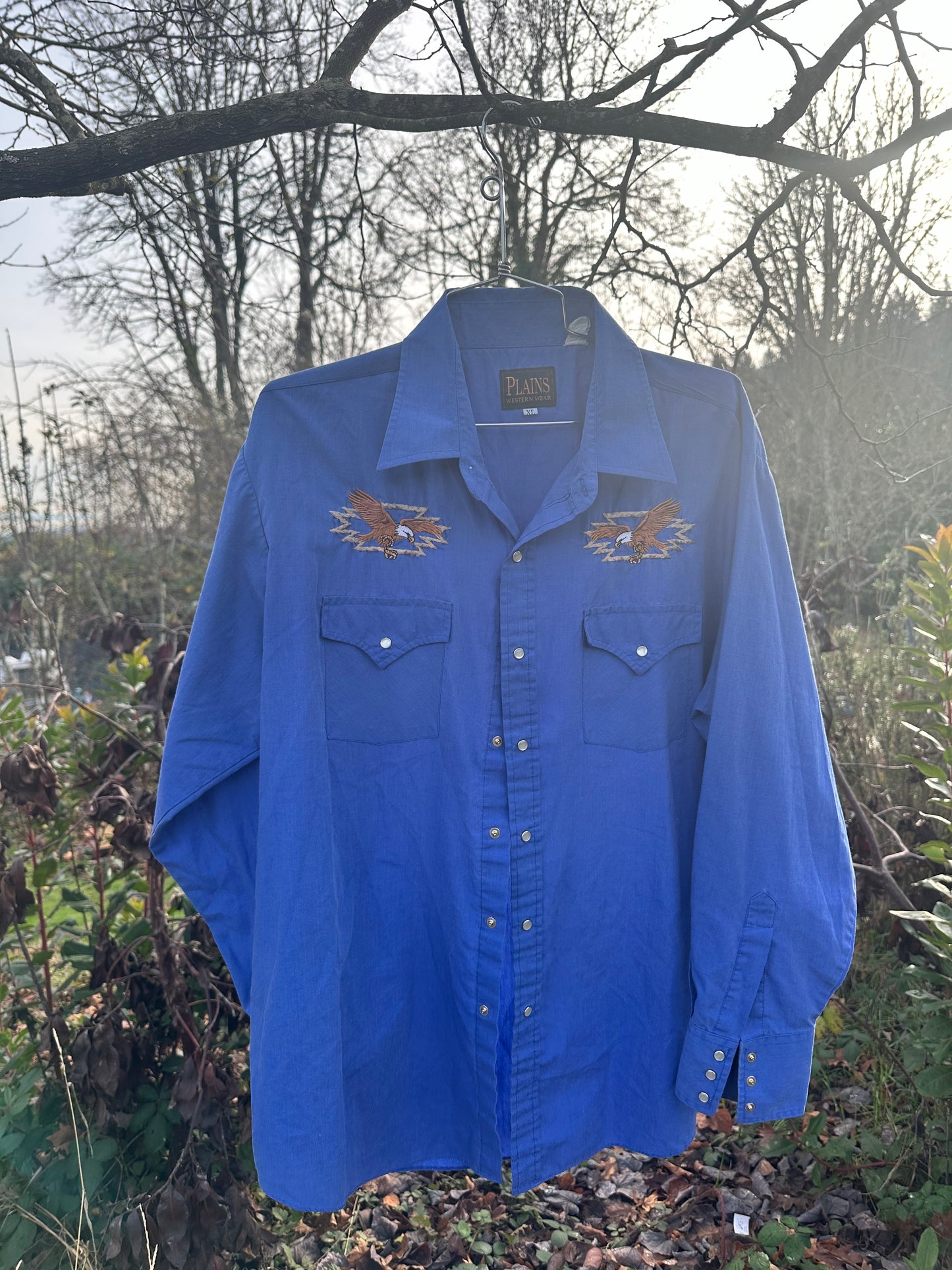 90s Blue Eagle Western Shirt