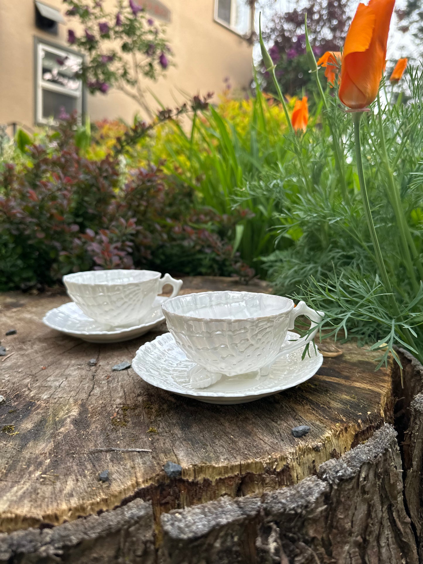 Mid century set of 2 Shell Teacups Saucers German Iridescent Footed Lusterware Belleek Style