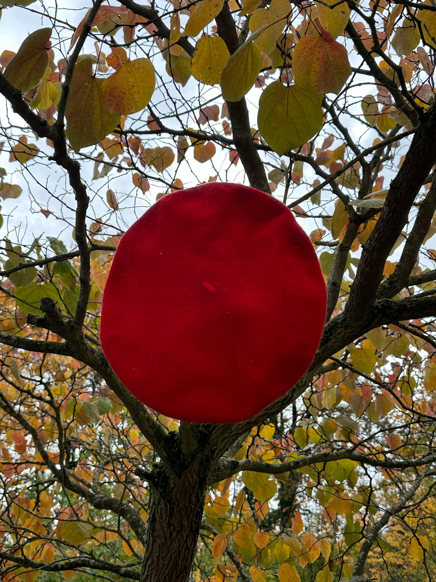 60s/70s Wool Red Beret