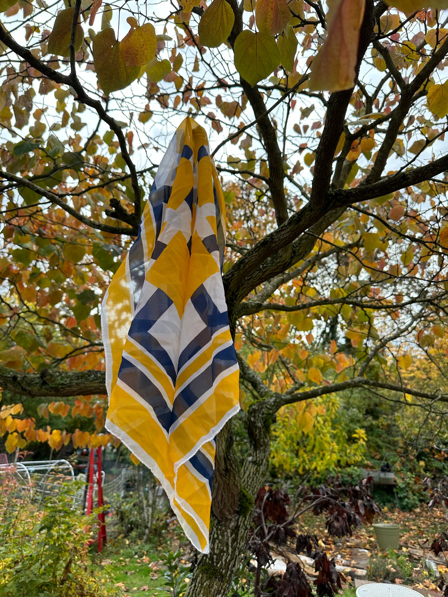 Blue and yellow Scarf