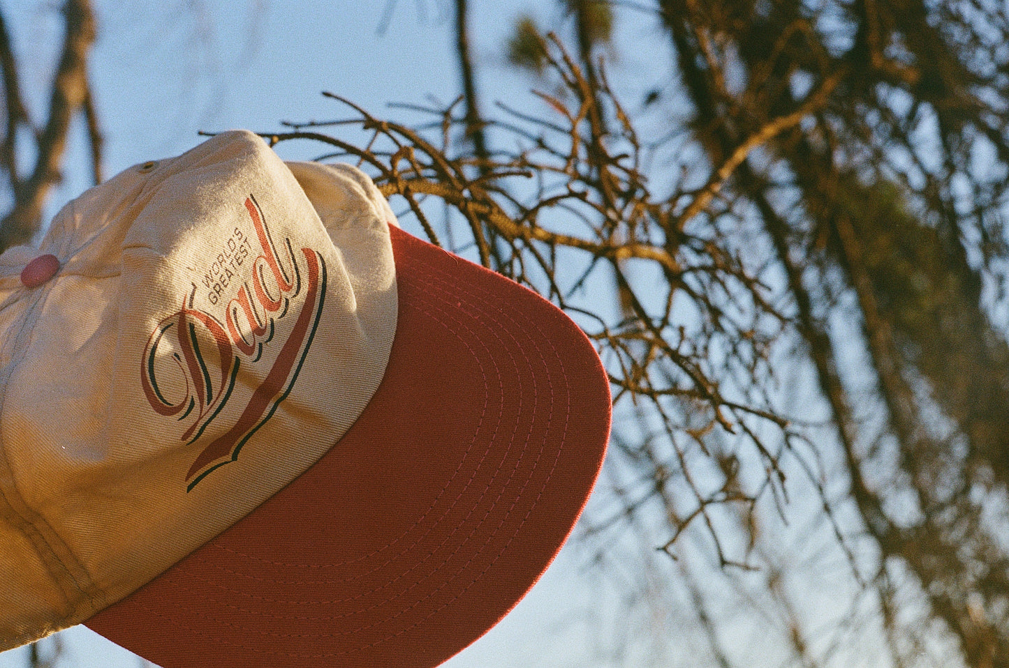 90s Hat: Greatest Dad