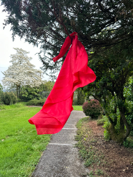 Red scarf