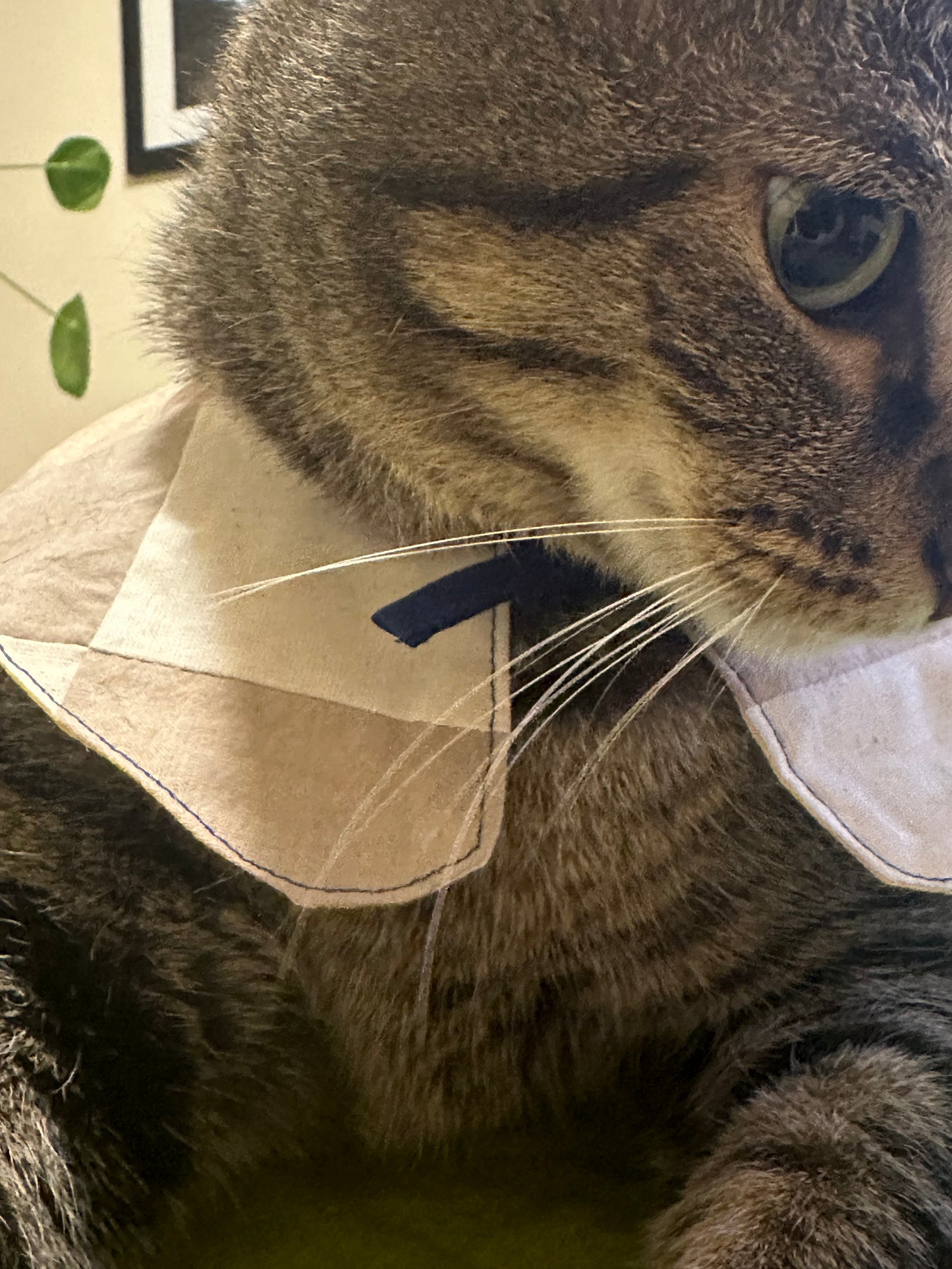 Patchwork upcycled cat sailor collar