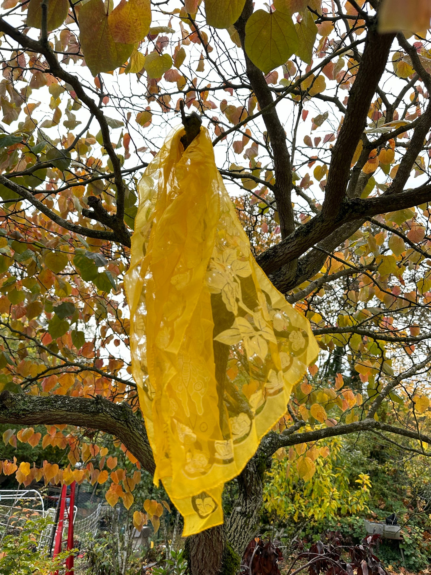 Yellow Butterfly Scarf