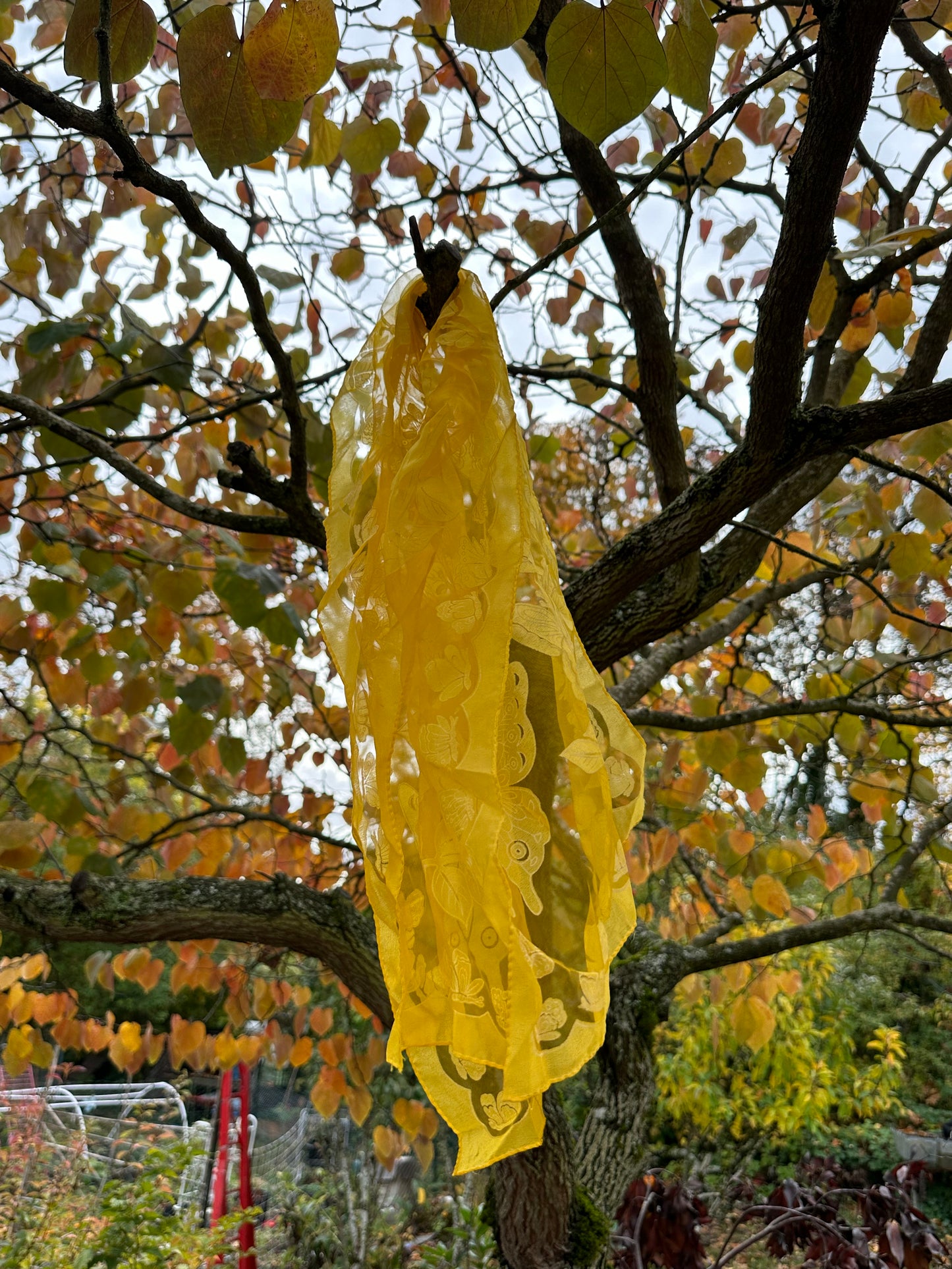 Yellow Butterfly Scarf