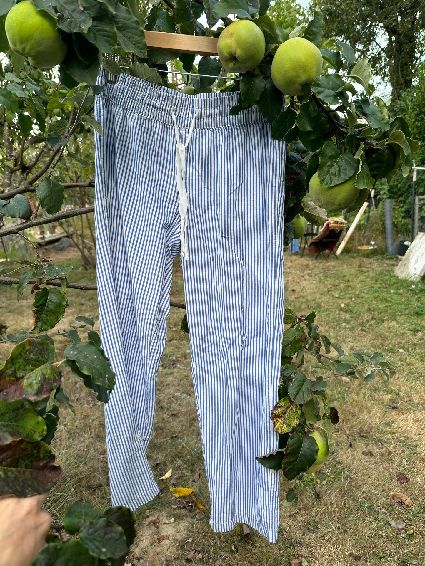 Blue Stripe pants