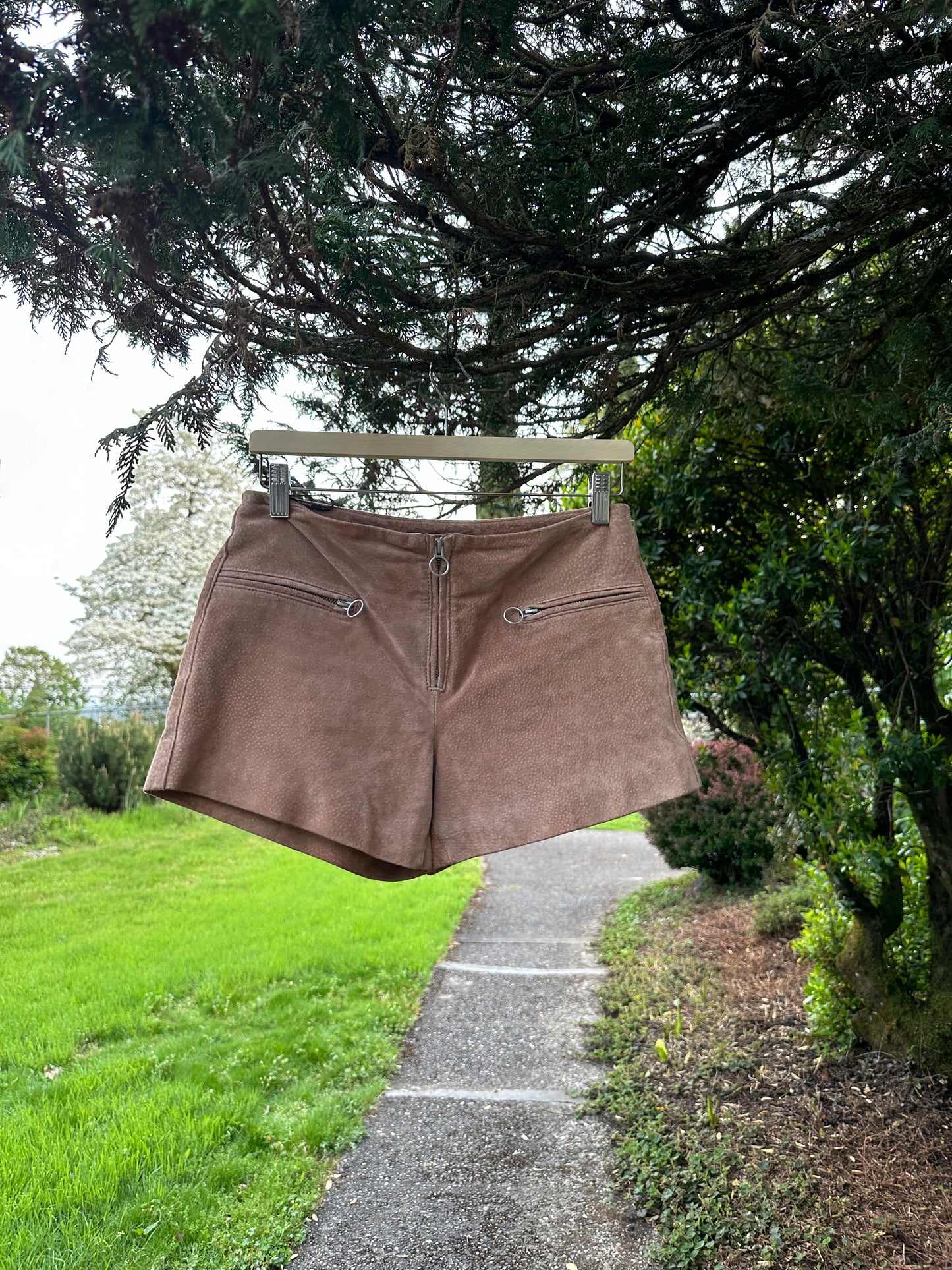 Suede Shorts