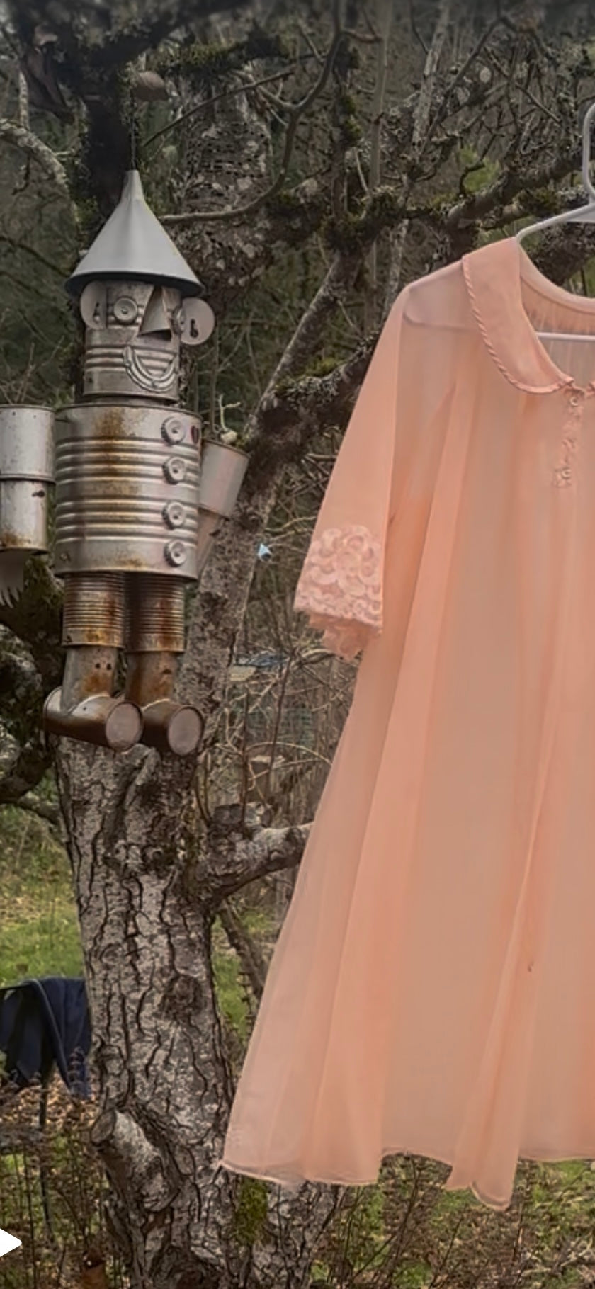 60s Pink Robe
